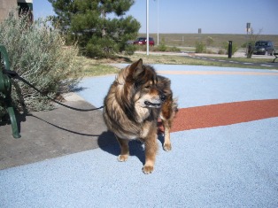 Blog Day-4 Cyndi at rest area.JPG