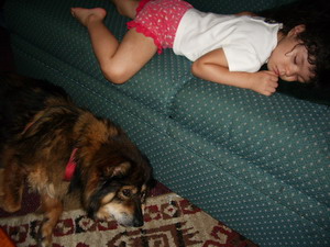 blog kyoko and cyndi sleeping.jpg