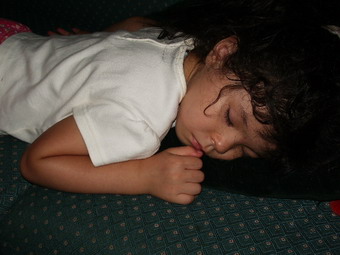 blog kyoko sleeping close up.jpg
