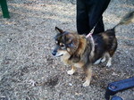 cyndi at ktp.jpg
