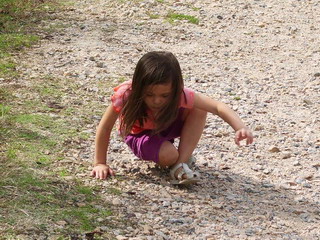 falls lake ayumi.jpg