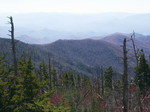 the view of gsm1.jpg