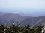 view from dome.jpg
